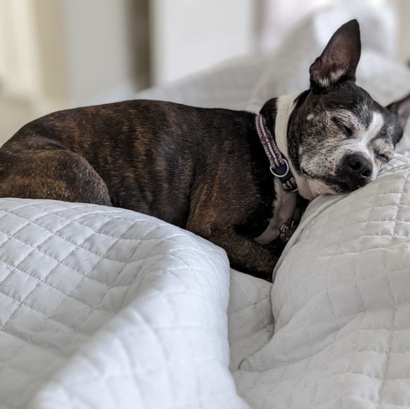 Meet your Posher, Amanda - Picture 3 of 3